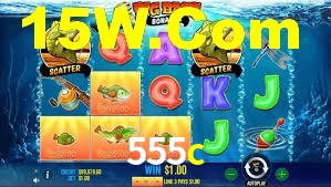 Premium Interface 555c